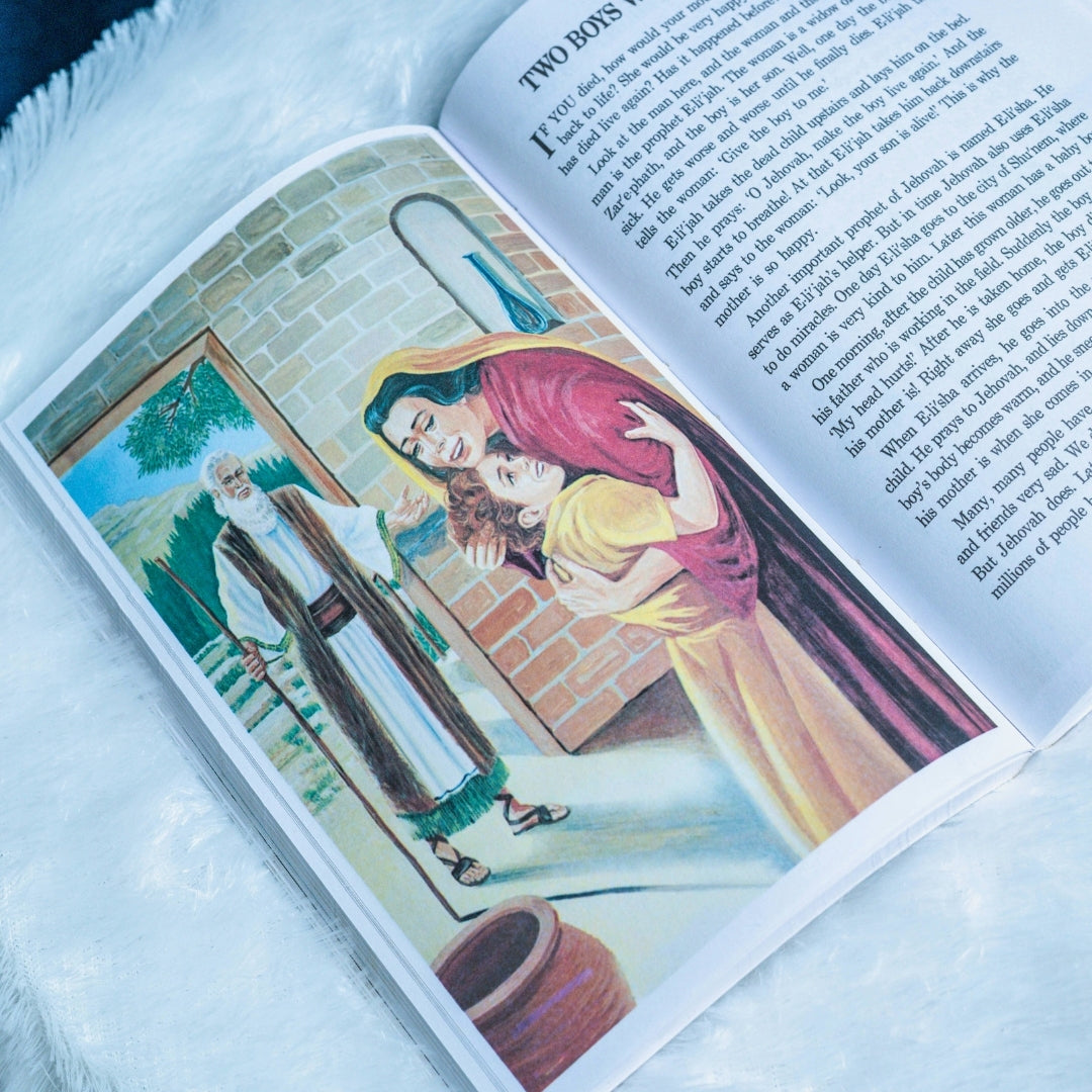 My Book Of Bible Stories