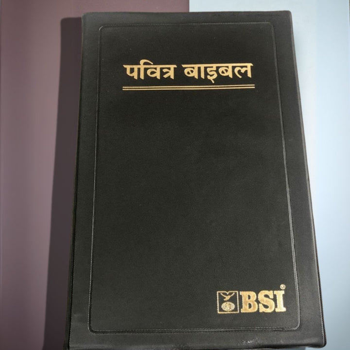 Hindi Bible - Pavitra Bible