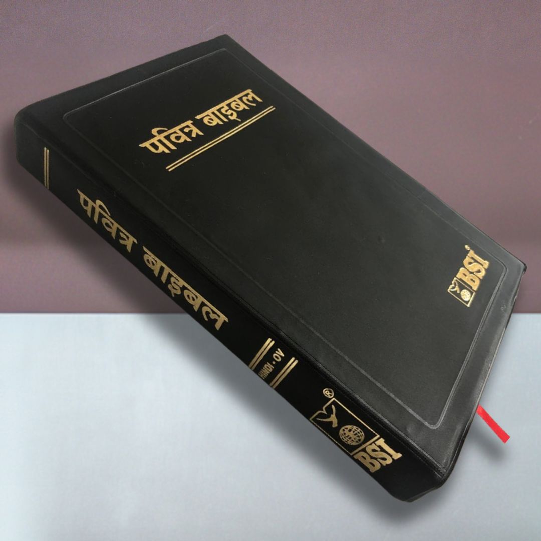 Hindi Bible - Pavitra Bible