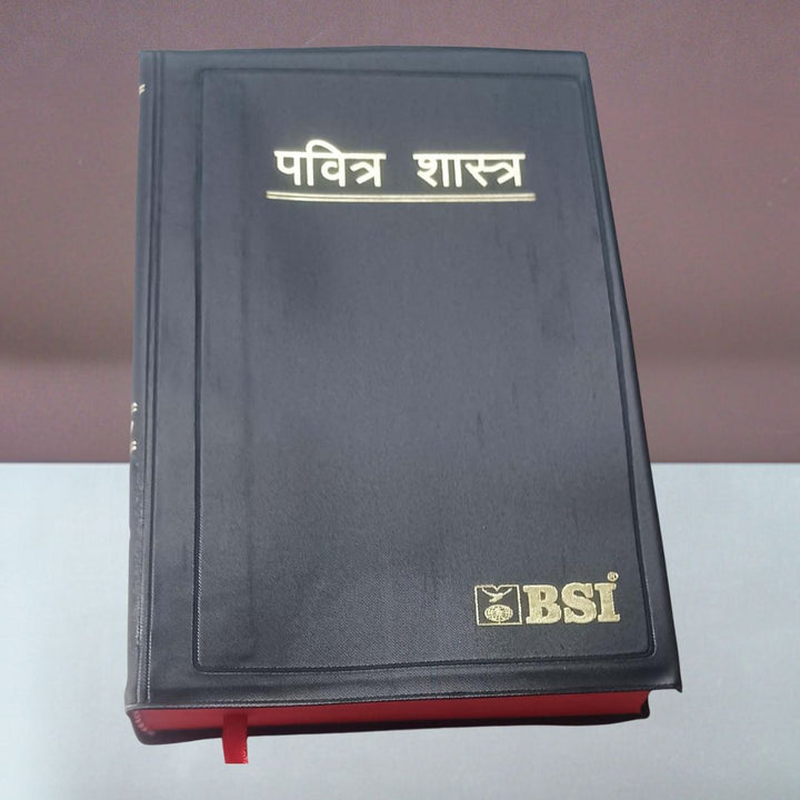 Marathi Bible RV - Pavitra shastra