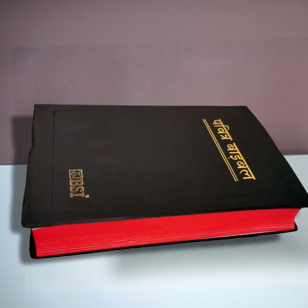 Hindi Bible - Pavitra Bible