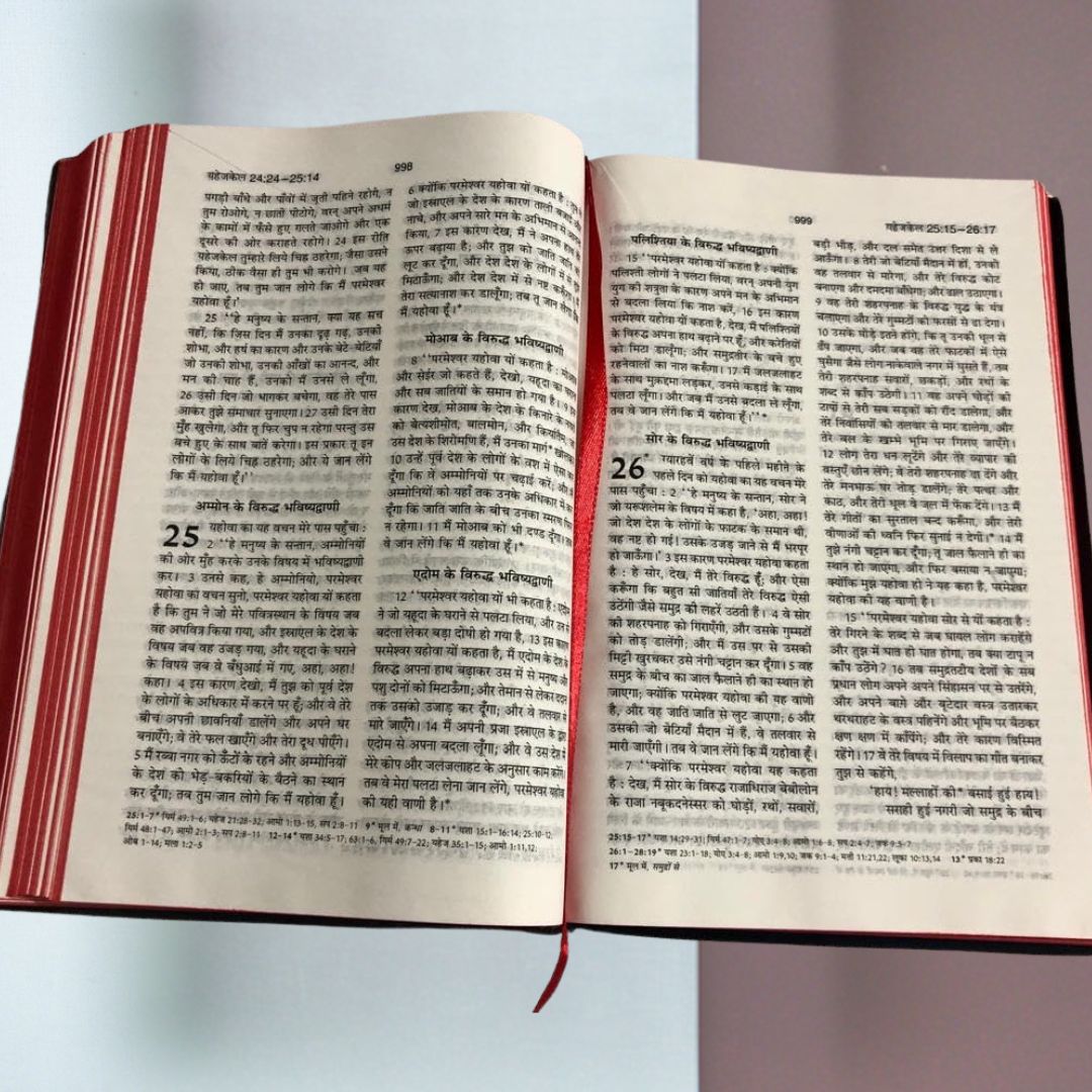 Hindi Bible - Pavitra Bible