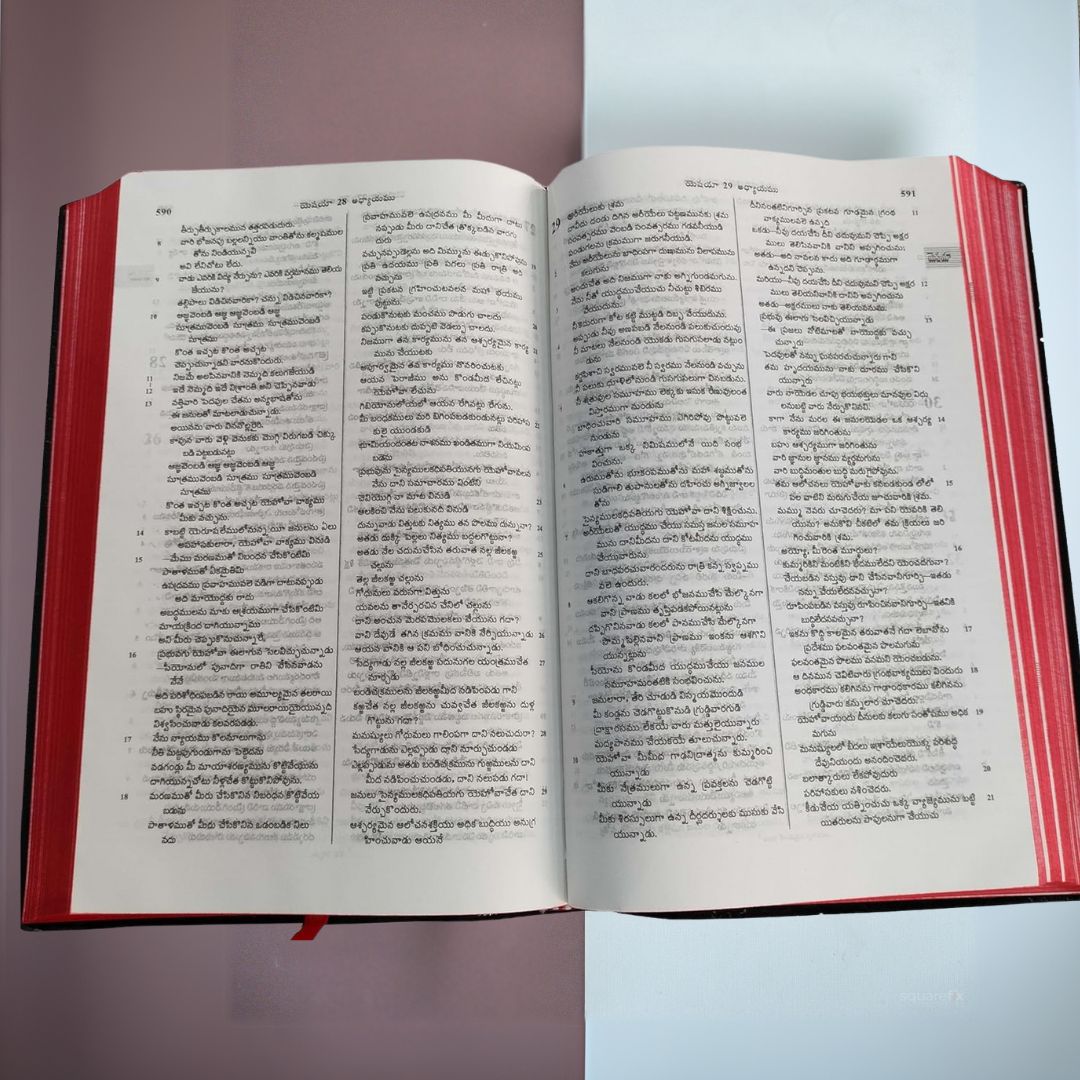 Telugu Bible