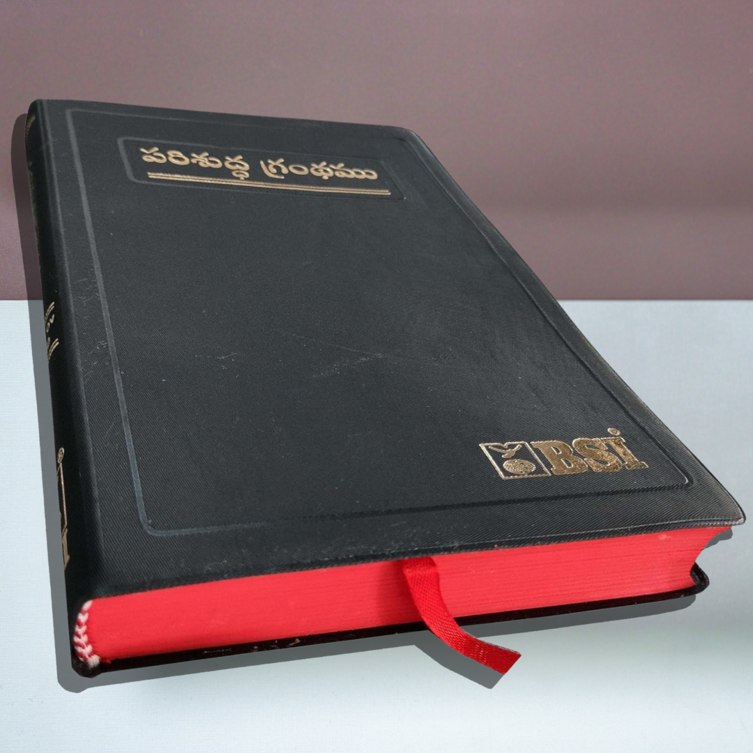 Telugu Bible