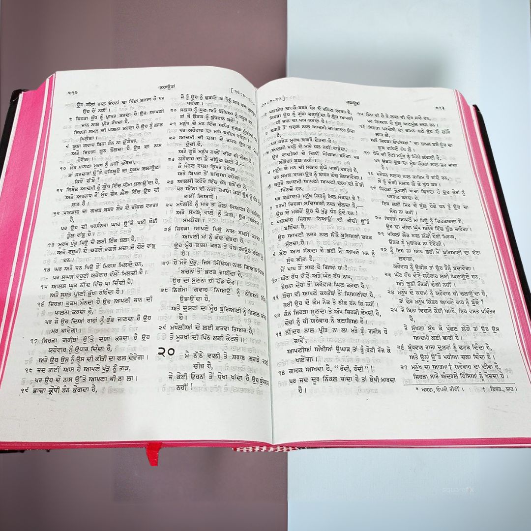Punjabi Bible