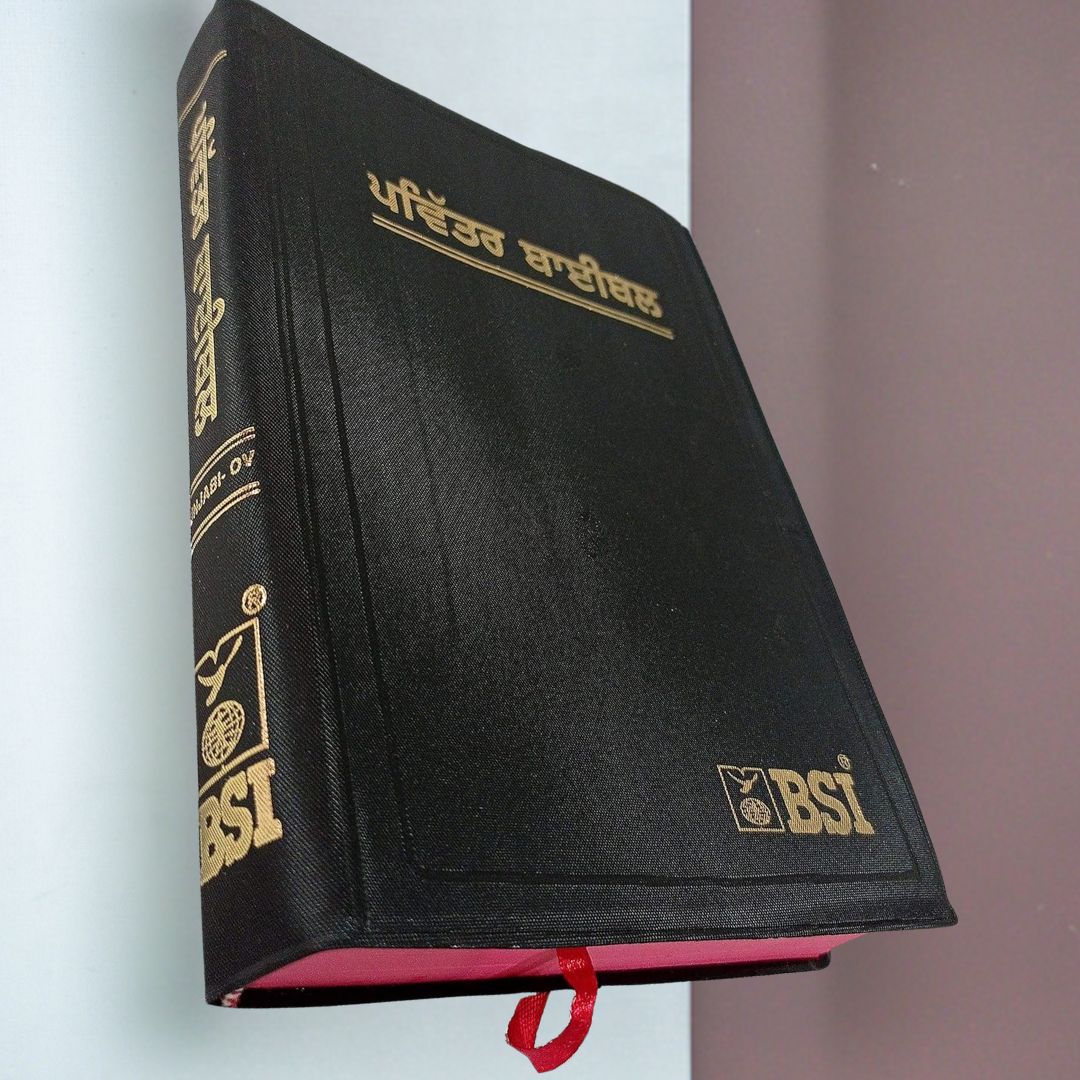 Punjabi Bible