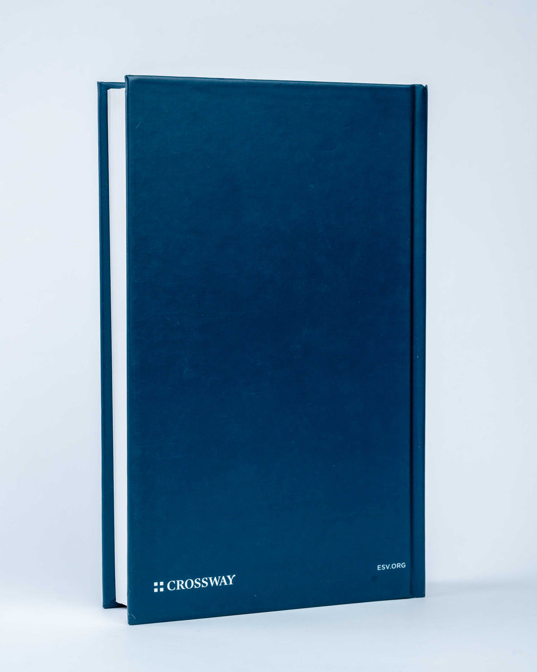ESV Concise Study Bible - (English Standard Version)