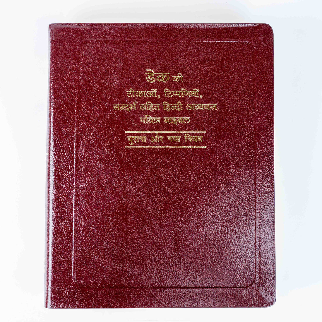 Dake Ki Tikao, Tippaniyo Sahit Sandarbh Hindi Bible Granth