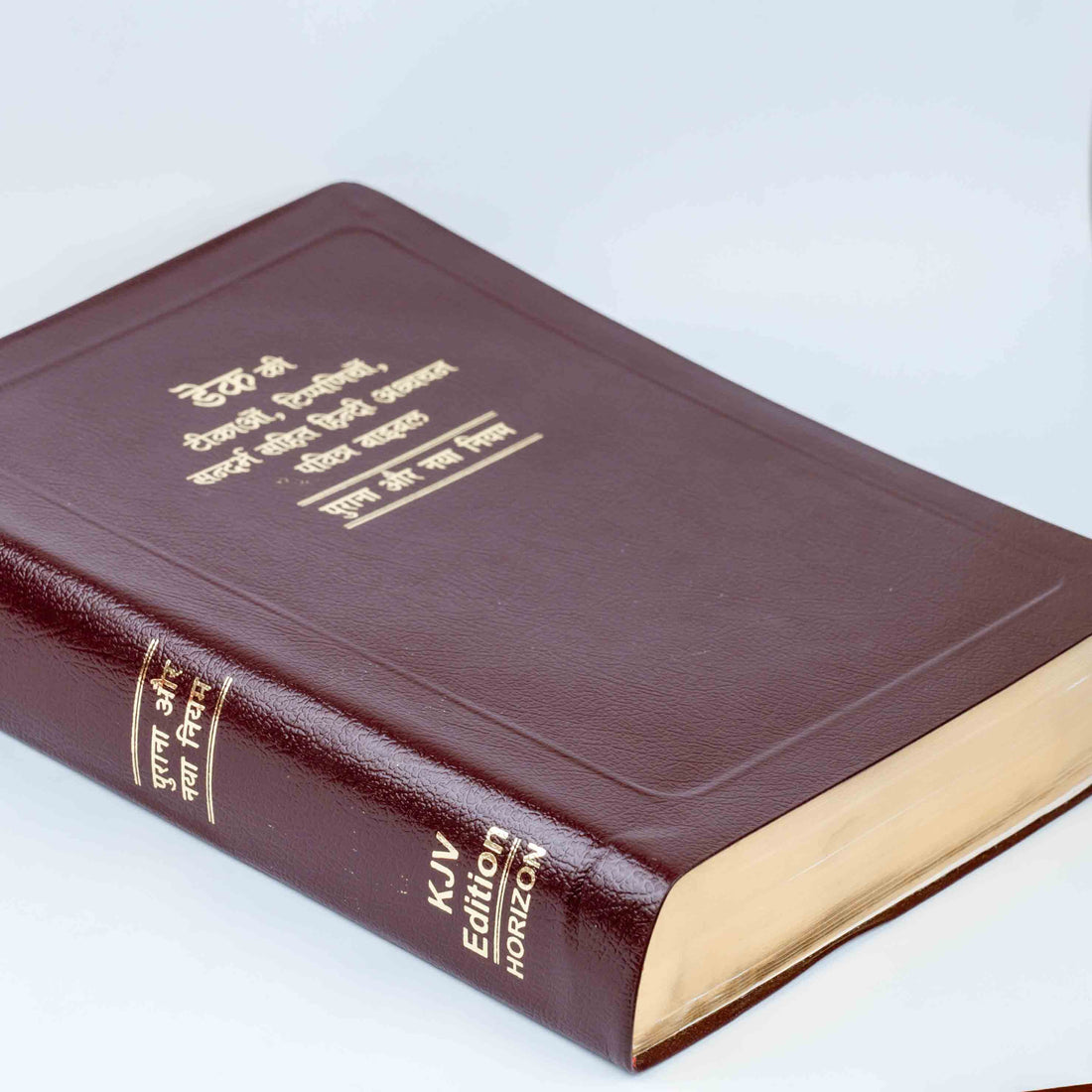 Dake Ki Tikao, Tippaniyo Sahit Sandarbh Hindi Bible Granth