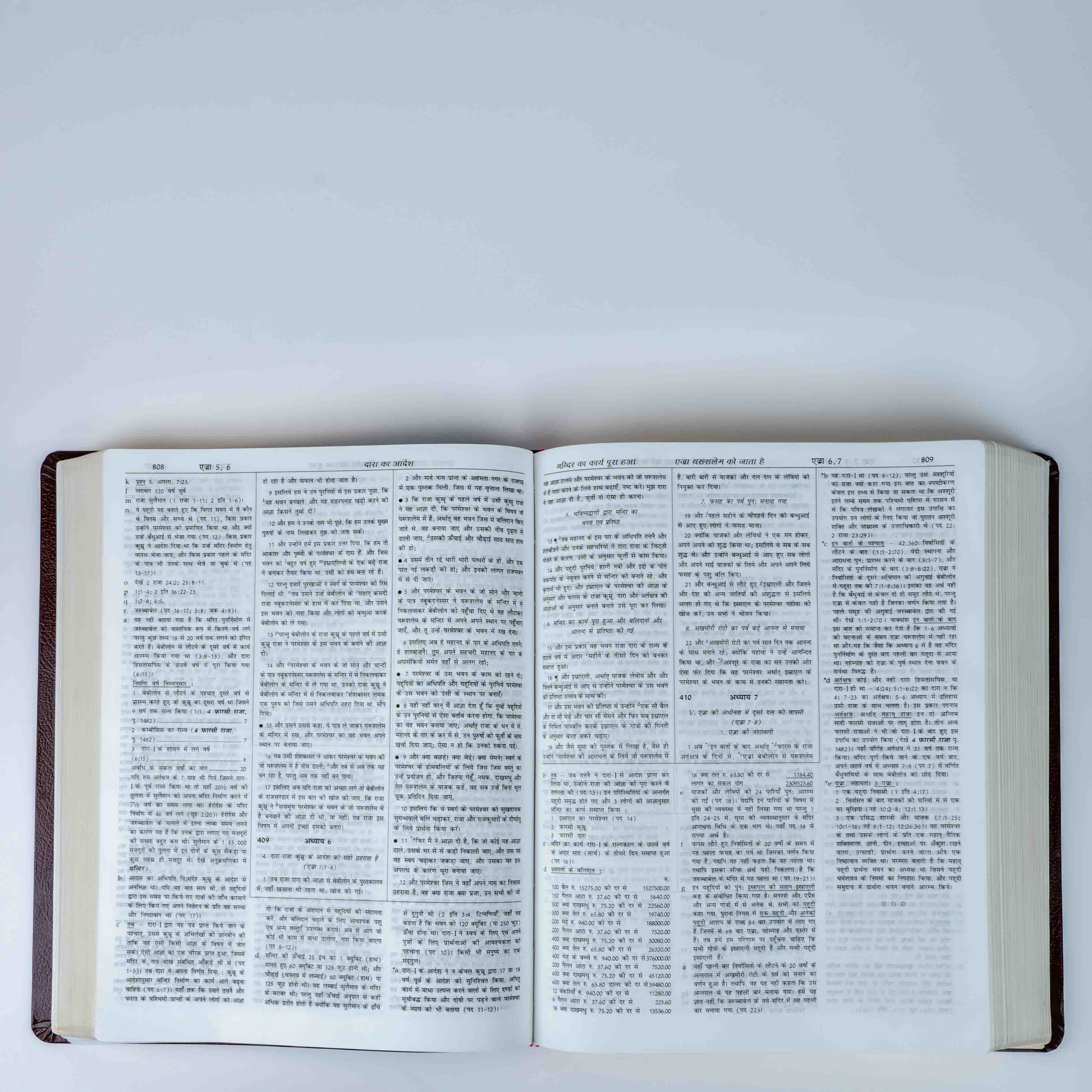 Dake Ki Tikao, Tippaniyo Sahit Sandarbh Hindi Bible Granth