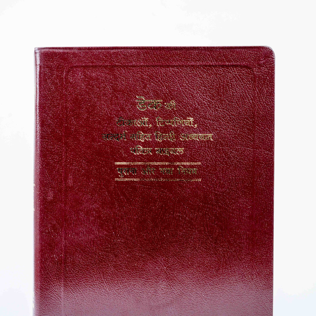 Dake Ki Tikao, Tippaniyo Sahit Sandarbh Hindi Bible Granth