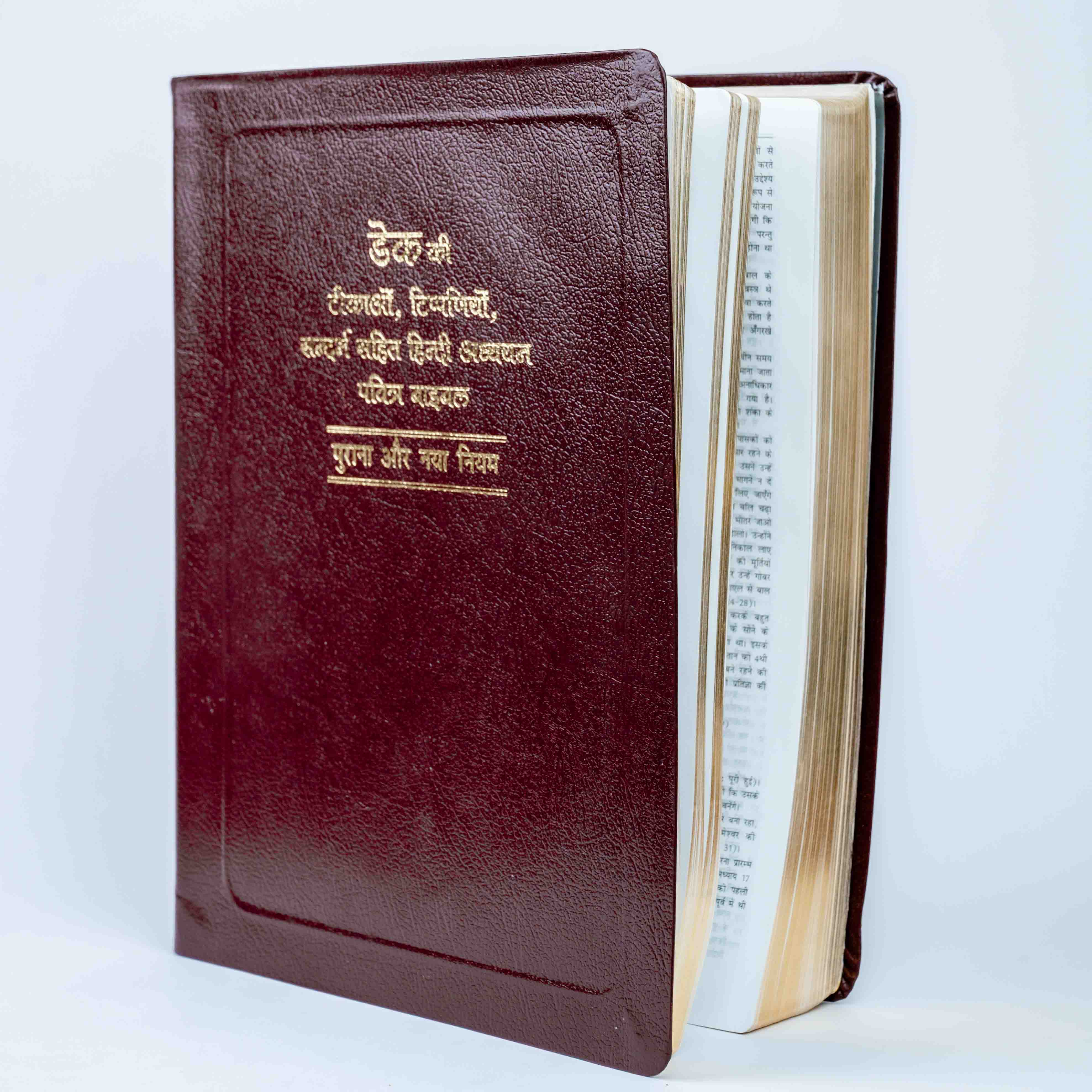 Dake Ki Tikao, Tippaniyo Sahit Sandarbh Hindi Bible Granth