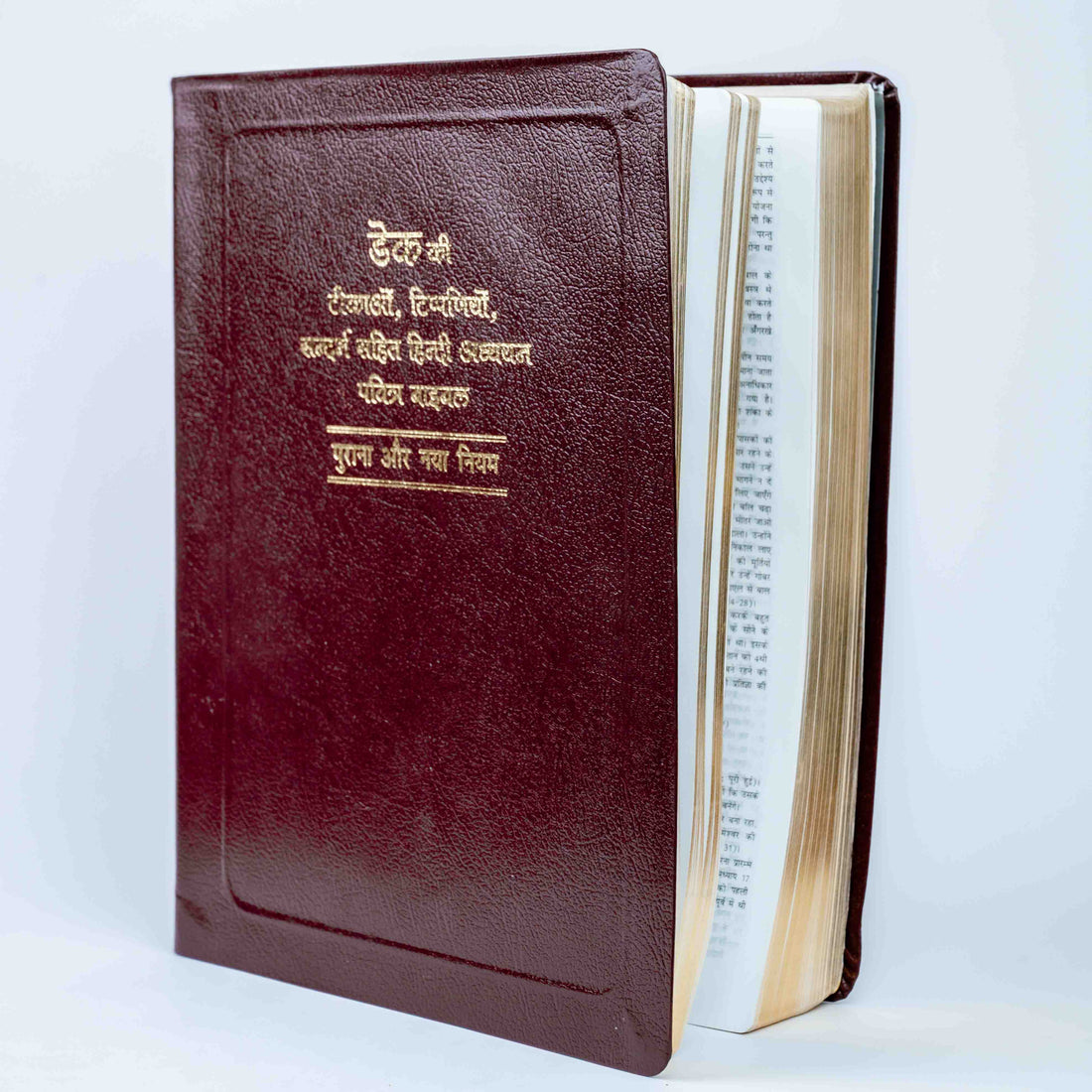 Dake Ki Tikao, Tippaniyo Sahit Sandarbh Hindi Bible Granth