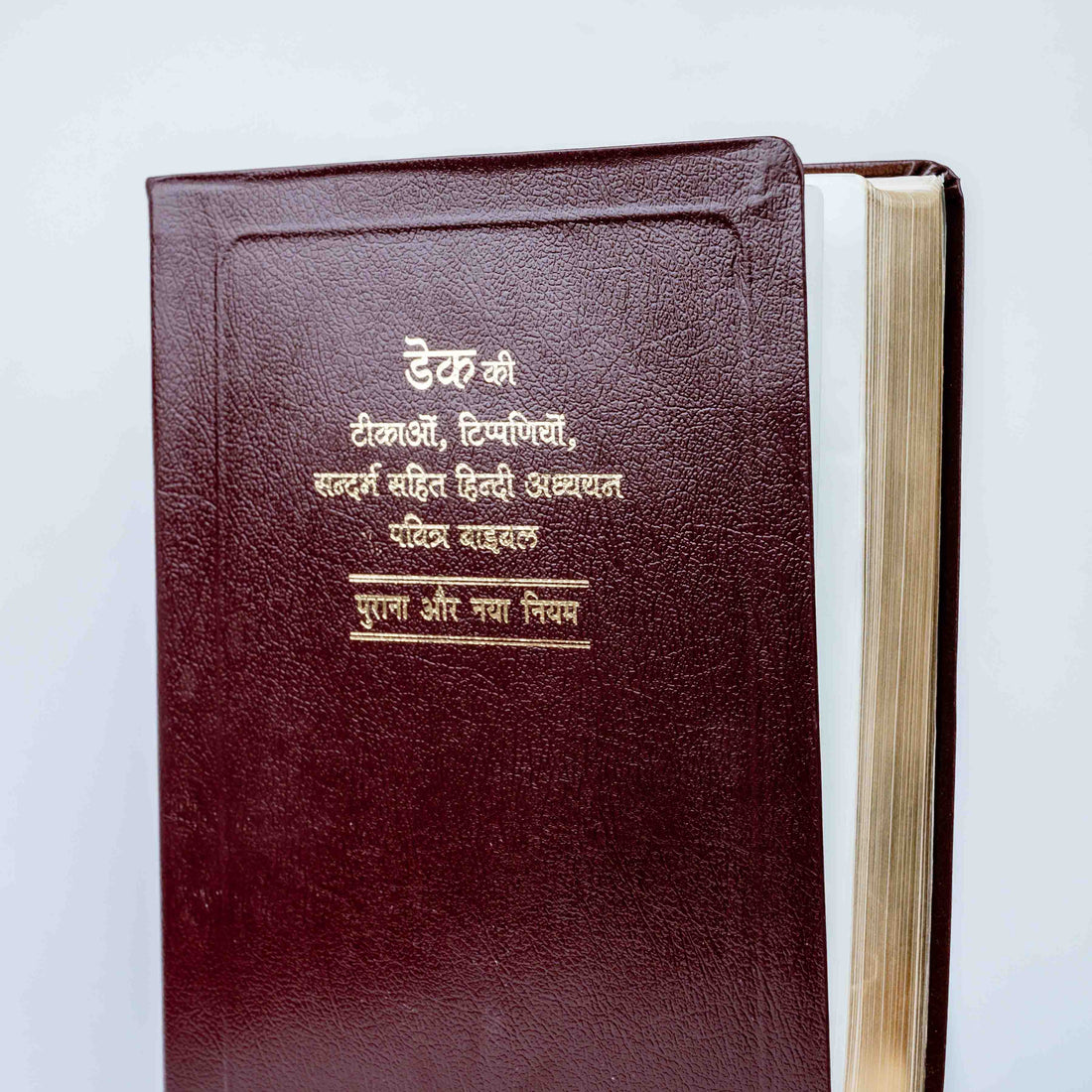 Dake Ki Tikao, Tippaniyo Sahit Sandarbh Hindi Bible Granth