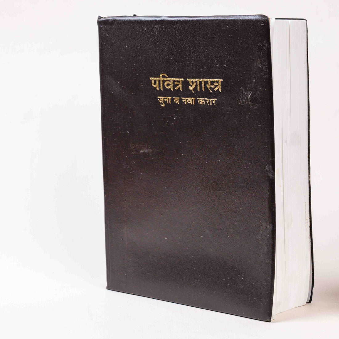 Pavitra Shastra – Juna va Nava Karar, Pandita Ramabai Bible