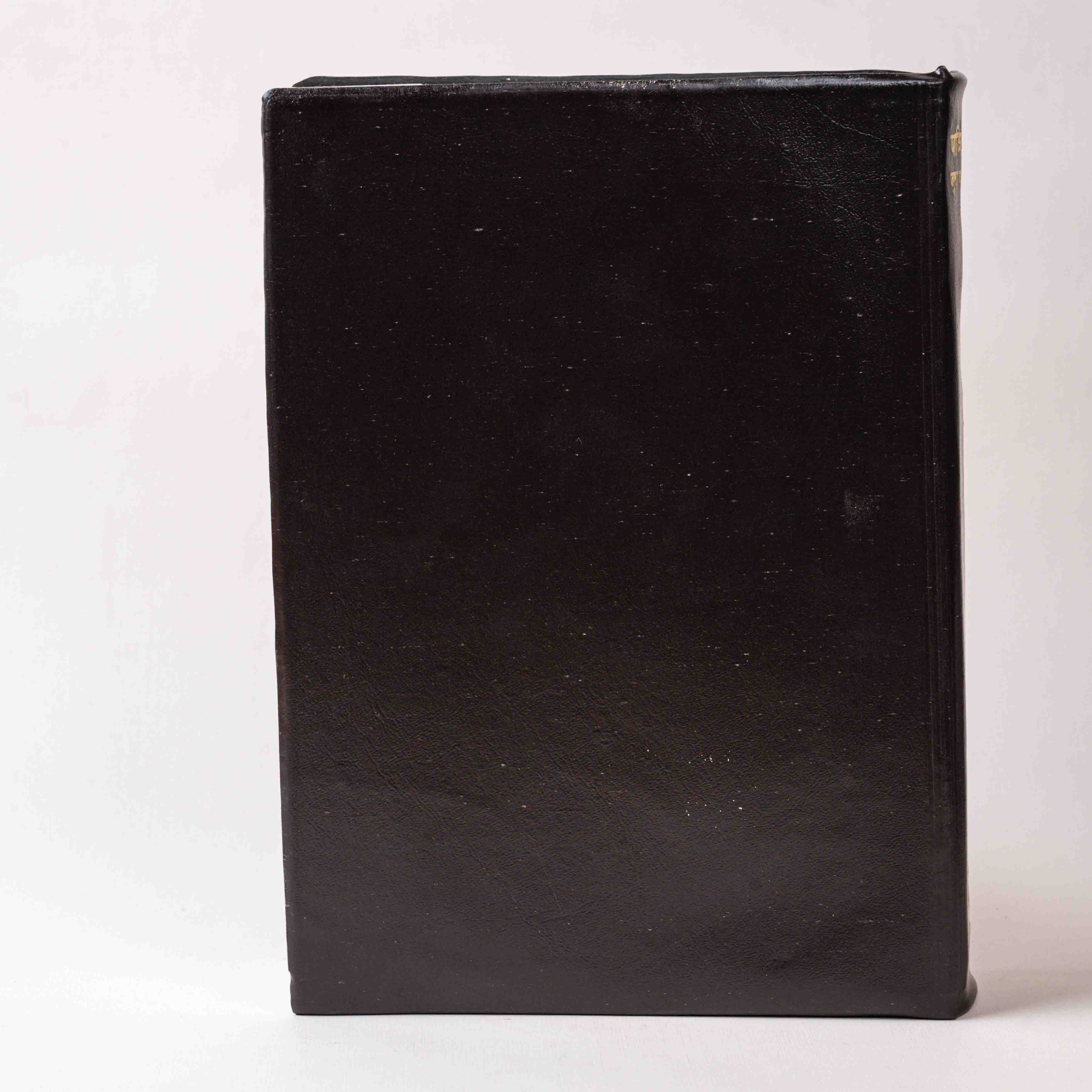 Pavitra Shastra – Juna va Nava Karar, Pandita Ramabai Bible